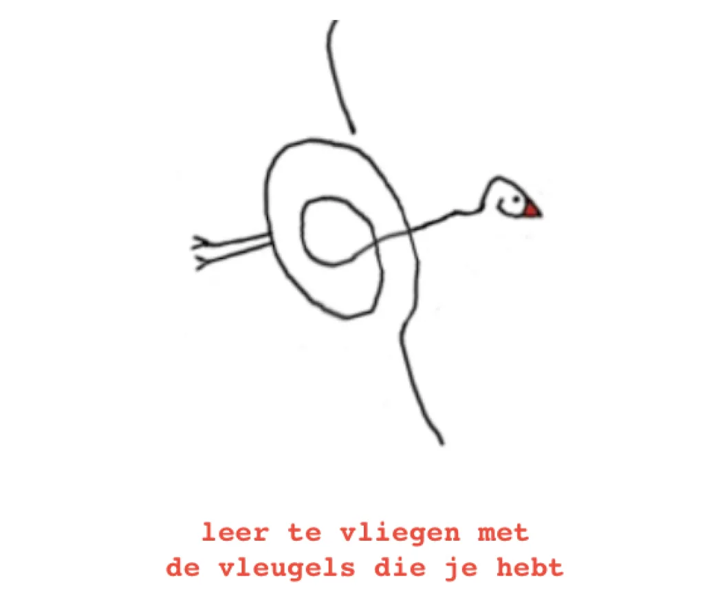 Leer te vliegen met de vleugels die je hebt